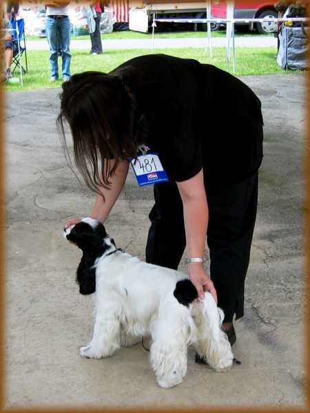 Amálka na výstavách 2008