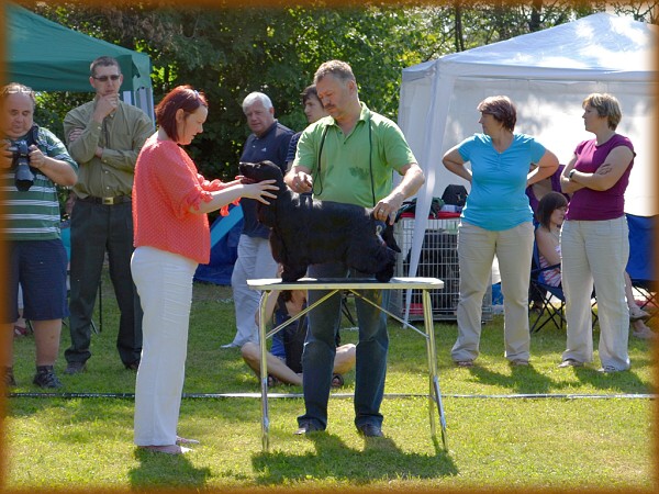 Květen a červen 2012