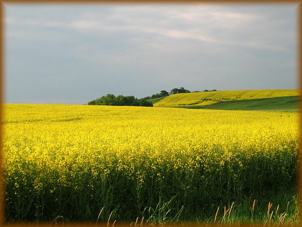 Květen 2011