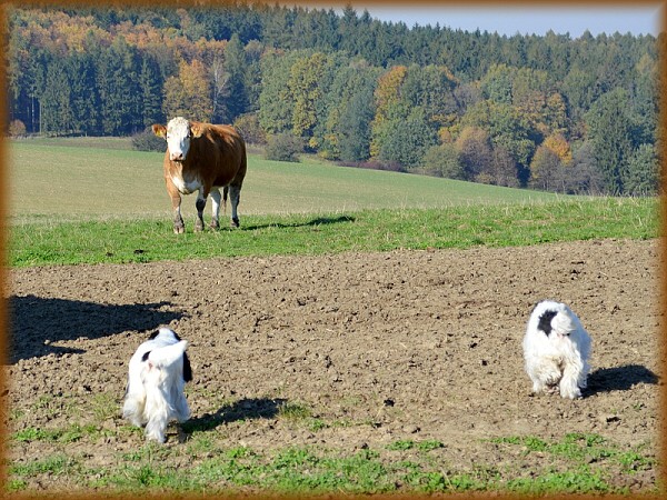 Říjen 2012