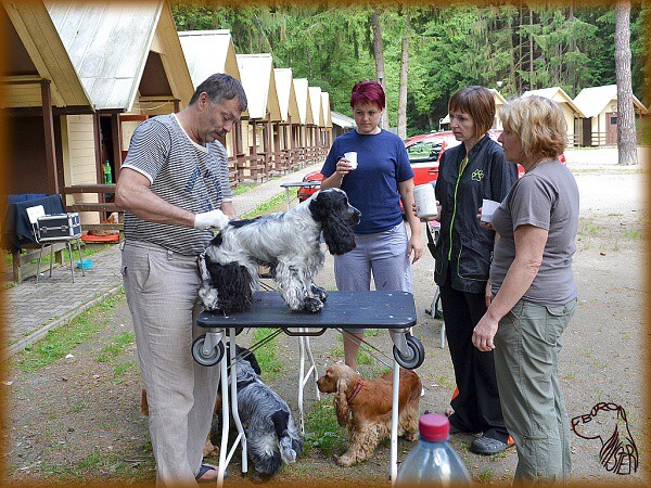 Víkend s kokrem 21. - 23. 6. 2013