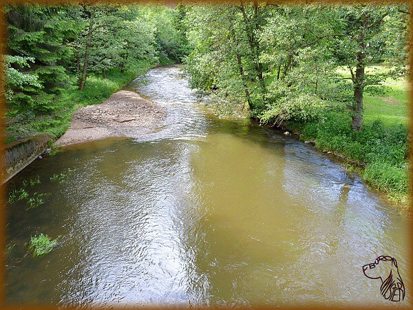 Víkend s kokrem 21. - 23. 6. 2013