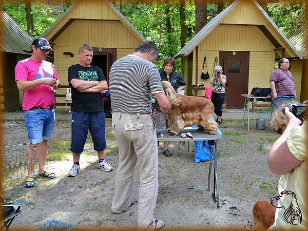 Víkend s kokrem 21. - 23. 6. 2013