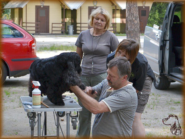 Víkend s kokrem 21. - 23. 6. 2013