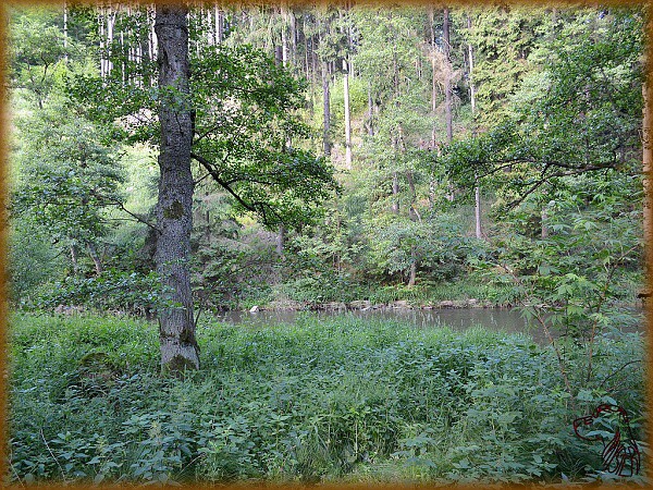 Víkend s kokrem 21. - 23. 6. 2013