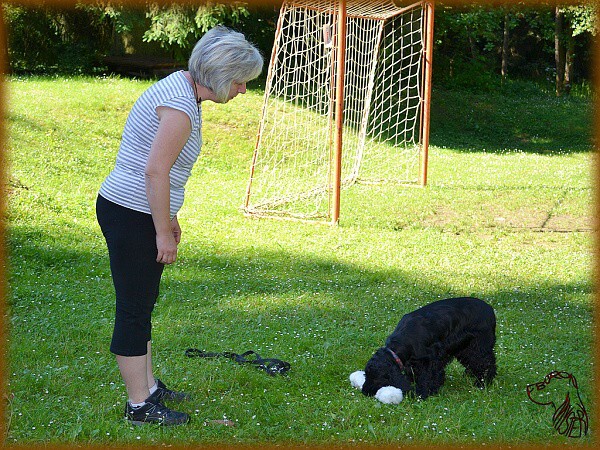 Víkend s kokrem 21. - 23. 6. 2013