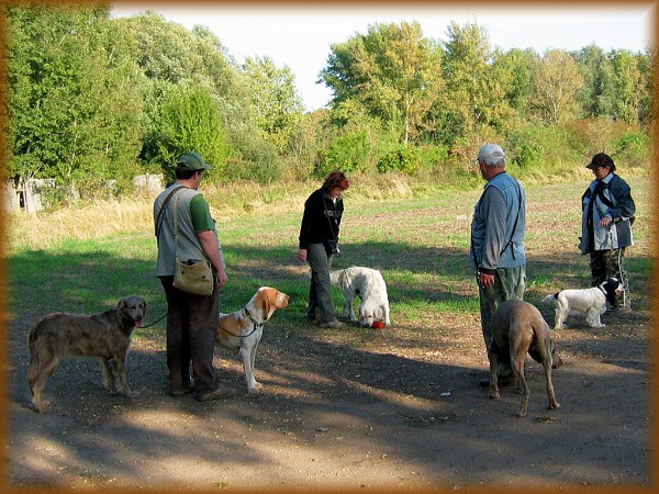 Víkendový výcvik 3.-4.10.2009