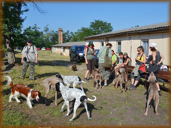 Červencový výcvik 2012 s Horyslovem