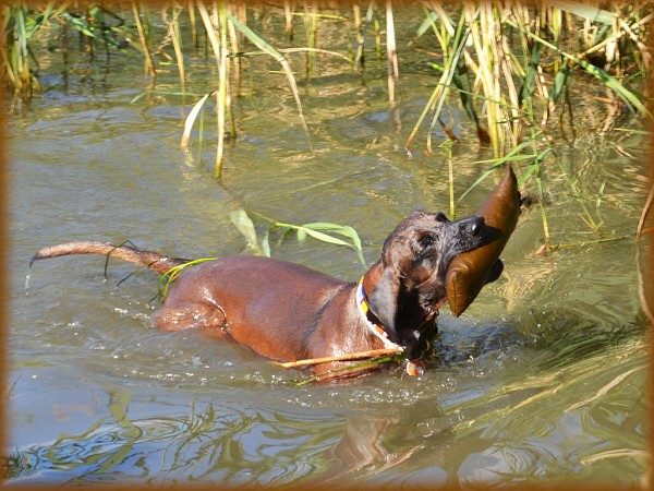 Červencový výcvik 2012 s Horyslovem