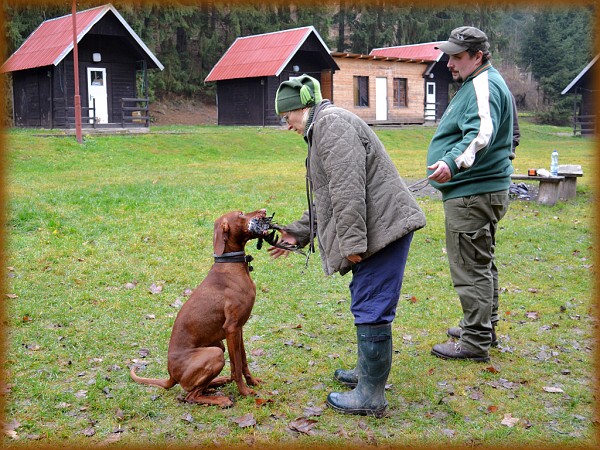 Listopadový výcvik 2012 s Horyslovem