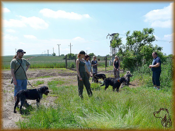 Červnový výcvik 2013 s Horyslovem