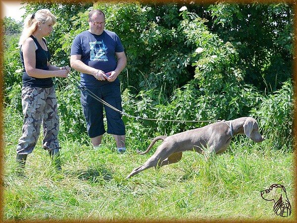 Červnový výcvik 2013 s Horyslovem